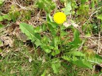 10301222_10100916421675516_1704268263776027725_n